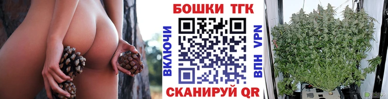 Конопля сатива  Медвежьегорск 